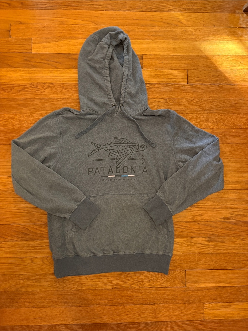 Patagonia Blue Pullover Organic Cotton Hoodie with Fish Logo